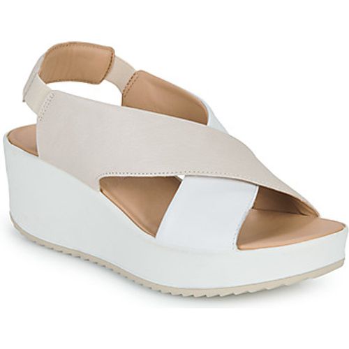 IgI&CO DONNA CANDY women's Sandals in - IGI&Co - Modalova