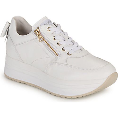 E306371D-707 women's Shoes (Trainers) in - NeroGiardini - Modalova