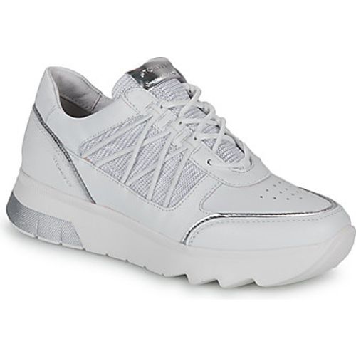 SPOCK 34 women's Shoes (Trainers) in - Stonefly - Modalova