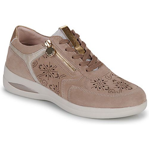 AURORA 20 women's Shoes (Trainers) in - Stonefly - Modalova