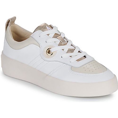 LOVA SNEAKER women's Shoes (Trainers) in - Armistice - Modalova