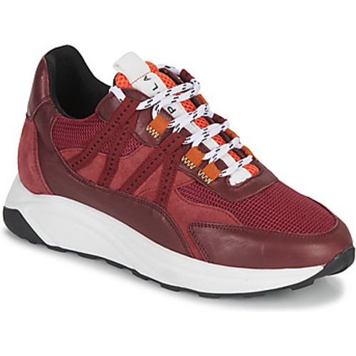 ICA women's Shoes (Trainers) in - Piola - Modalova