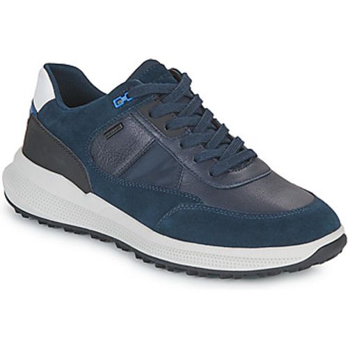 U PG1X B ABX men's Shoes (Trainers) in - Geox - Modalova