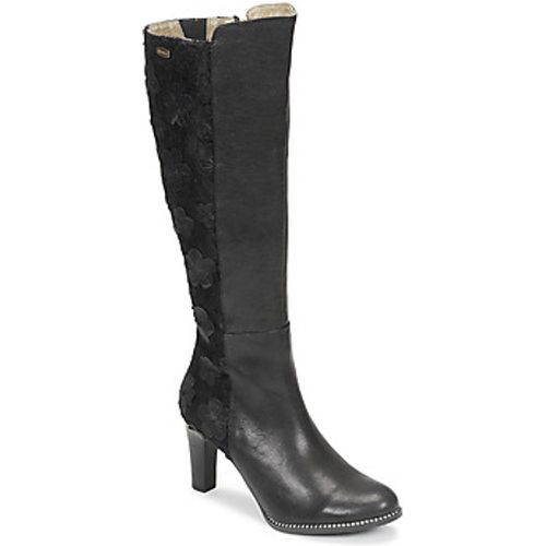 ALCBANEO women's High Boots in - laura vita - Modalova