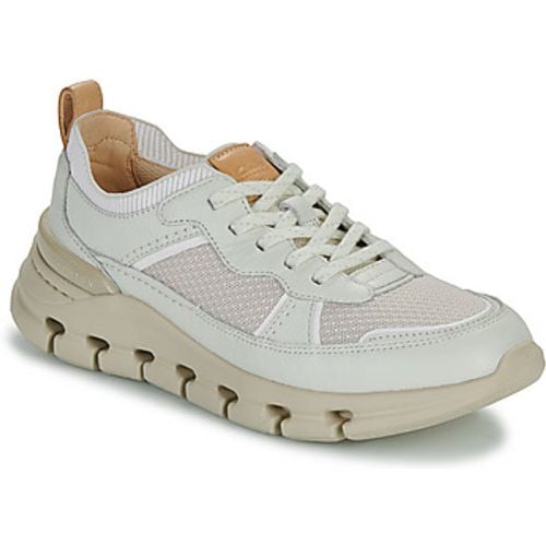 NATURE X COVE women's Shoes (Trainers) in - Clarks - Modalova