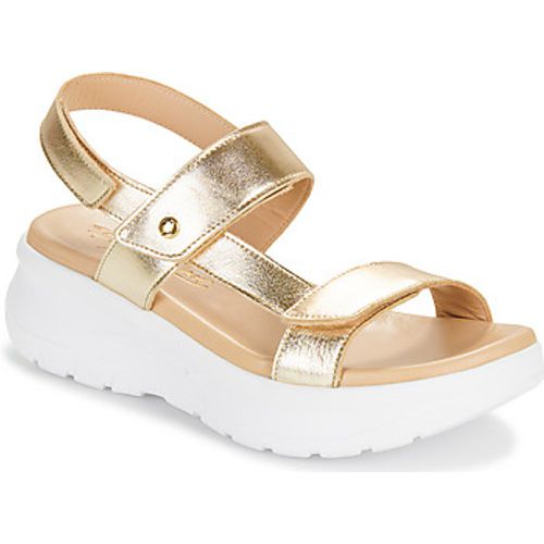 NOOR SHINE B1 women's Sandals in - Panama Jack - Modalova