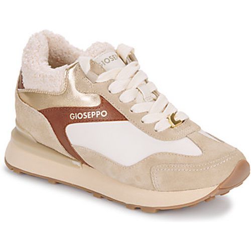 KOSICE women's Shoes (Trainers) in - Gioseppo - Modalova