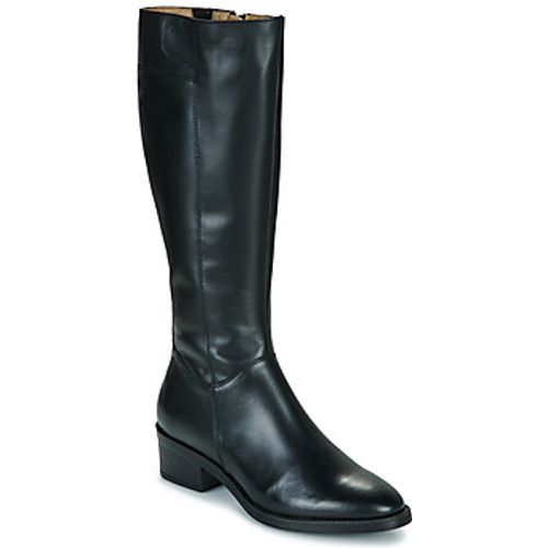 ALICIA women's High Boots in - Betty London - Modalova