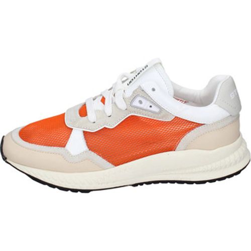 EY918 women's Trainers in - Stokton - Modalova