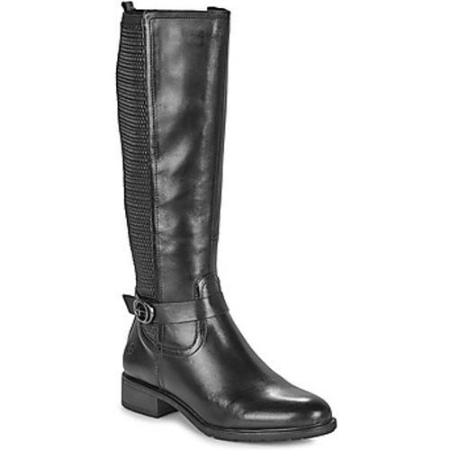 AVORIS women's High Boots in - tamaris - Modalova