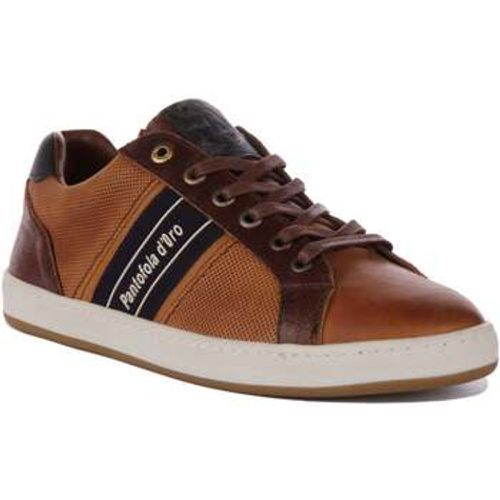 Melfi Uomo Low For Men men's Trainers in - Pantofola D'Oro - Modalova