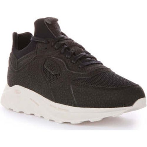 Larch women's Trainers in - Ekn - Modalova