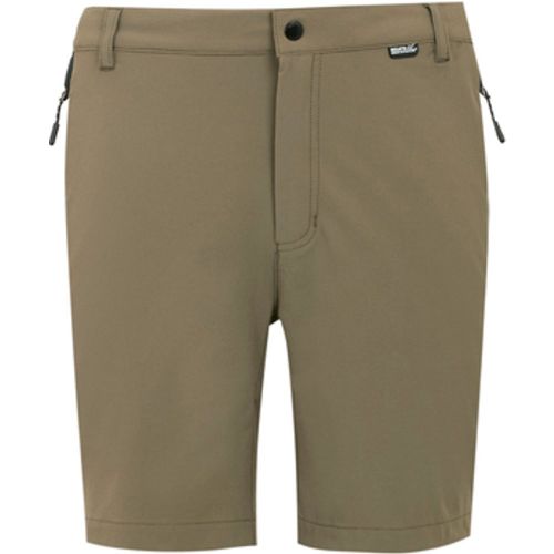Mountain II men's Shorts in - Regatta - Modalova