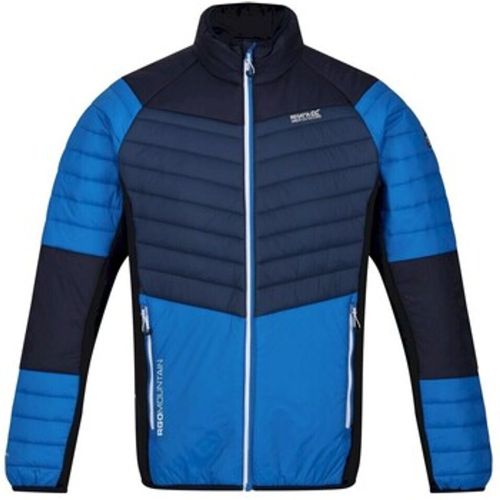 Halton VI men's Jacket in - Regatta - Modalova