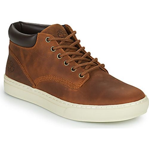 Turnschuhe ADVENTURE 2.0 CUPSOLE CHK - Timberland - Modalova