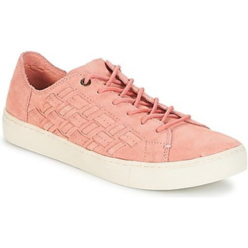 Toms Sneaker LENOX - TOMS - Modalova