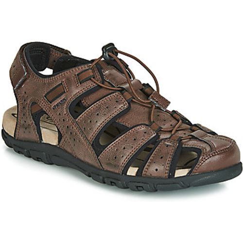 Geox Sandalen UOMO SANDAL STRADA - Geox - Modalova