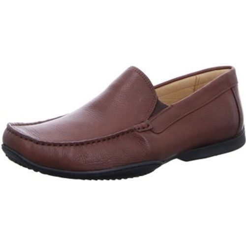Herrenschuhe Business Tavares 949414 pinhao - Anatomic & Co - Modalova