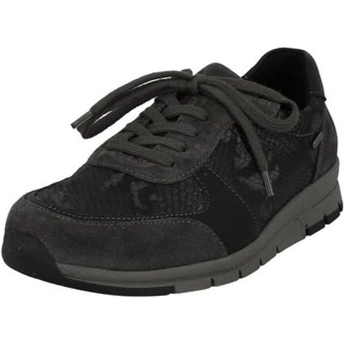 Westland Sneaker TABEA 08 - Westland - Modalova