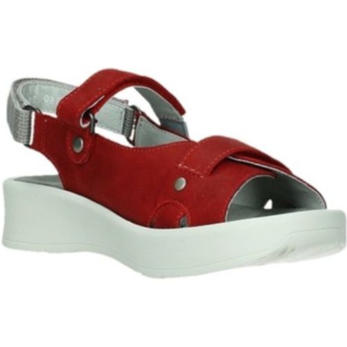 Sandalen Sandaletten Globe 05350 - Wolky - Modalova