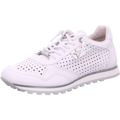 Cetti Sneaker C-848-all white - Cetti - Modalova