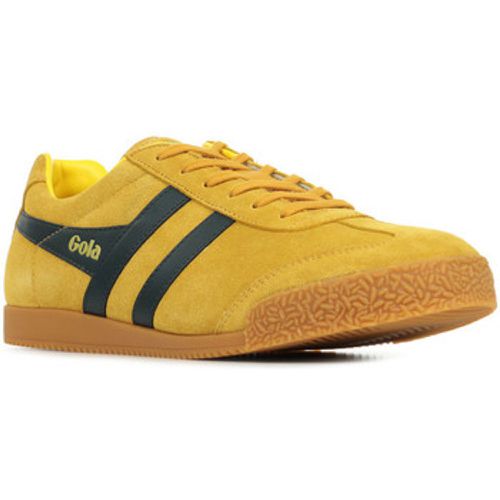 Gola Sneaker Harrier Suede - Gola - Modalova