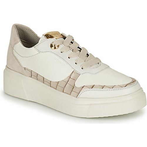 Stonefly Sneaker ALLEGRA 3 - Stonefly - Modalova