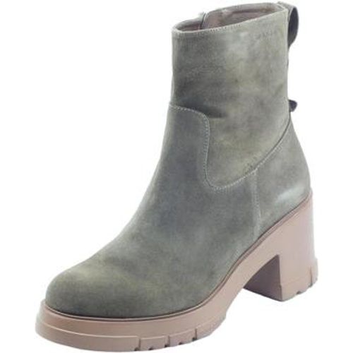 Wonders Ankle Boots H-4421 Veldry - Wonders - Modalova