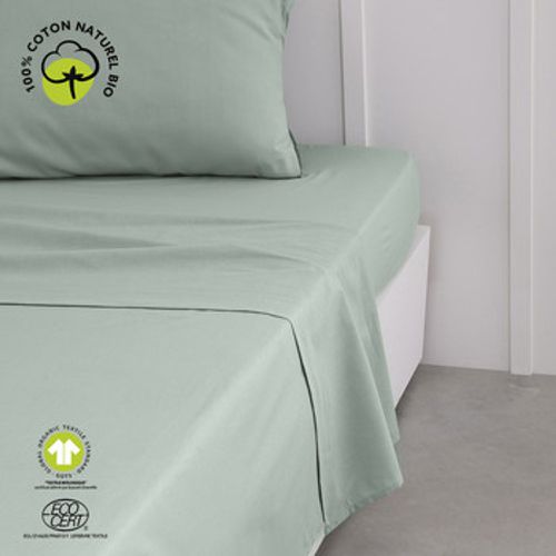Bettlaken Drap Plat 180/290 Coton Organic Celadon - Today - Modalova
