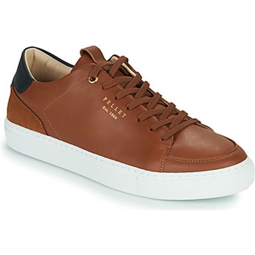 Pellet Sneaker SIMON - Pellet - Modalova