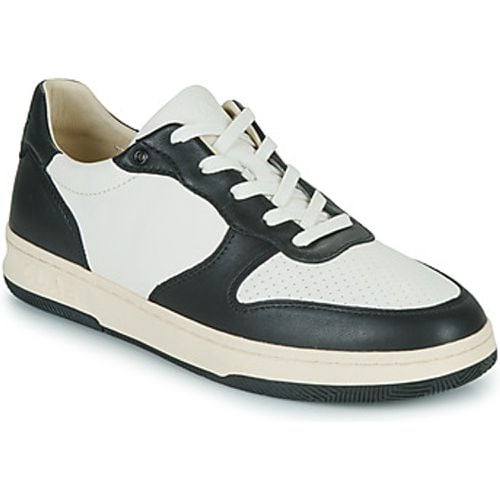 Clae Sneaker MALONE - Clae - Modalova