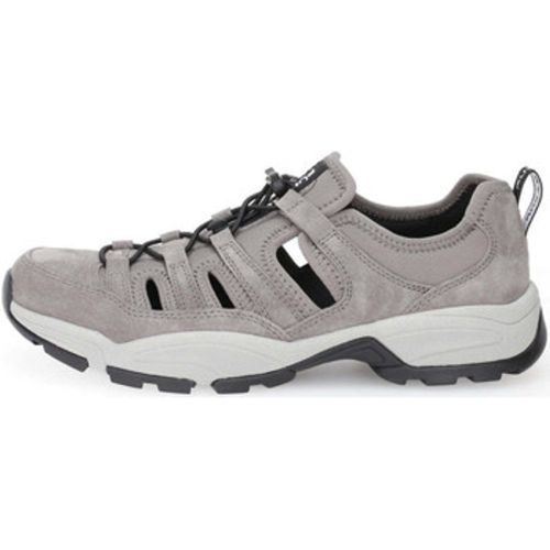 Pius Gabor Sneaker 0138.13.01 - Pius Gabor - Modalova