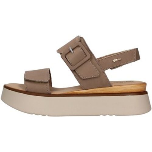 IgI&CO Sandalen 1688422 - IGI&Co - Modalova