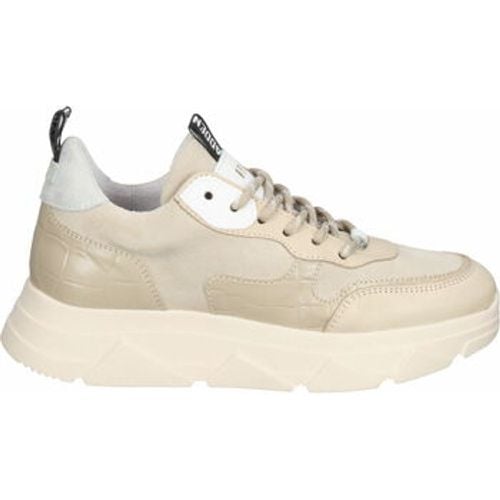 Steve Madden Sneaker Sneaker - Steve Madden - Modalova