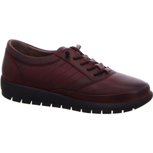 Halbschuhe Schnuerschuhe 481 bordeaux - Edik - Modalova