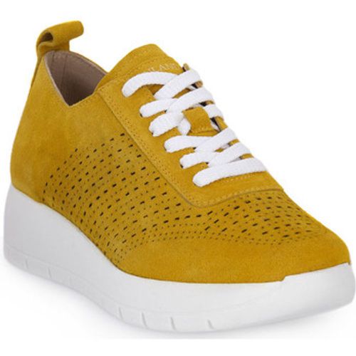 Grunland Schuhe GIALLO K9TANI - Grunland - Modalova