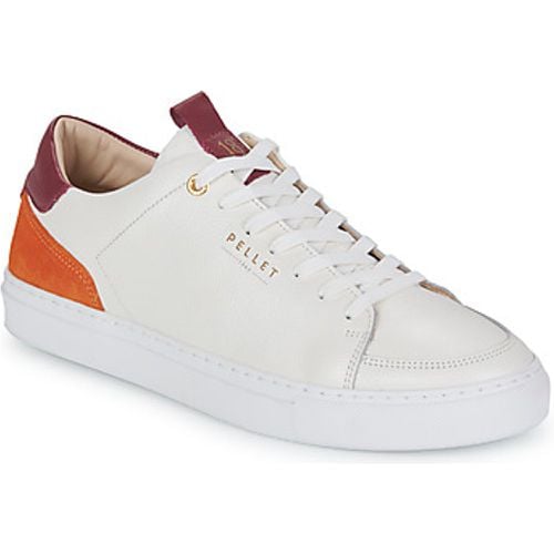 Pellet Sneaker SIMON - Pellet - Modalova