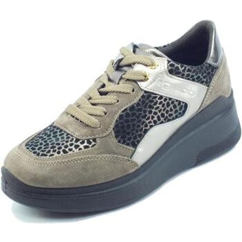 IgI&CO Sneaker 2656722 Scam. Gira - IGI&Co - Modalova