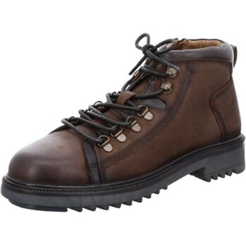 Stiefel Melvin ette brown 11-19901-04 - Ara - Modalova