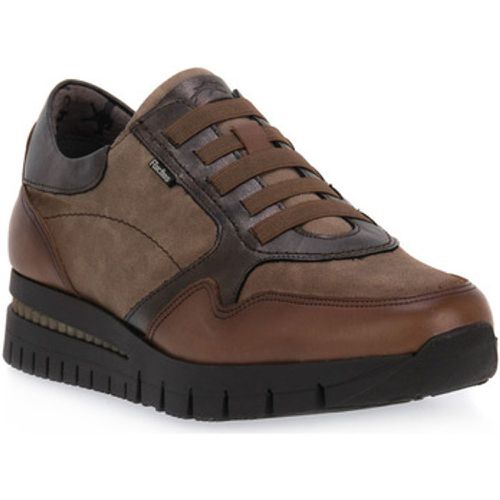 Fluchos Schuhe MARMOTA SUGAR - Fluchos - Modalova