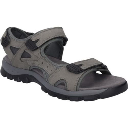 Westland Sandalen Auxerre 01, grau - Westland - Modalova