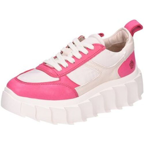 Sneaker Blair-43-fuxia - Apple of Eden - Modalova