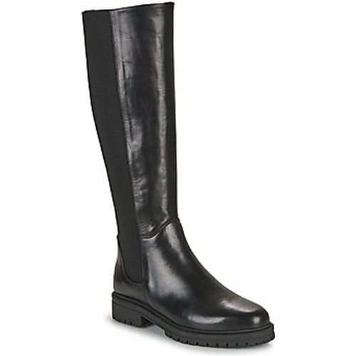 Myma Stiefeletten 7117-CUIR-NOIR - Myma - Modalova