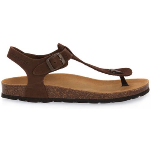 Grunland Sandalen MARRONE 40 SARA - Grunland - Modalova