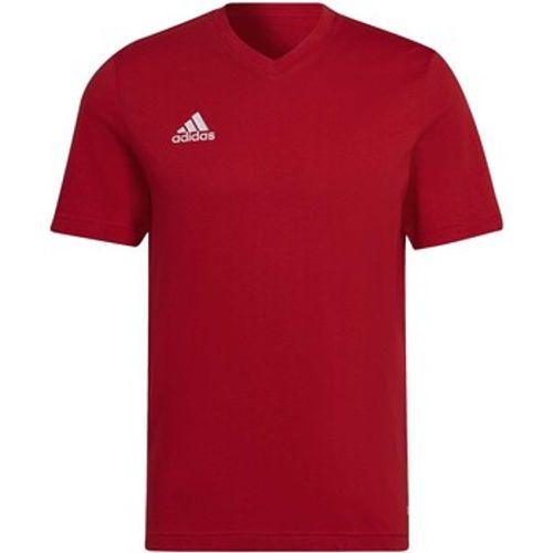 T-Shirts & Poloshirts Ent22 Tee - Adidas - Modalova