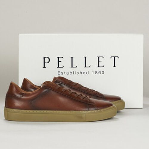 Pellet Sneaker PEDRO - Pellet - Modalova