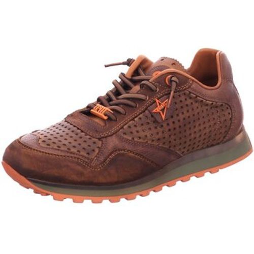 Cetti Sneaker C-848-tin testa - Cetti - Modalova