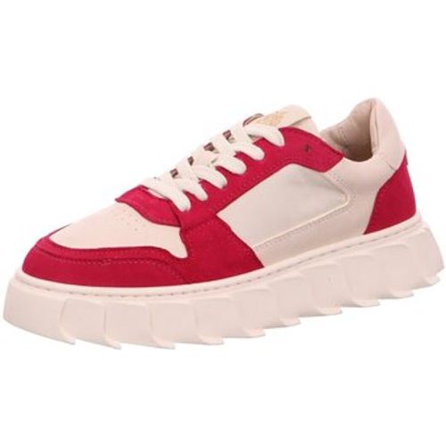 Sneaker London 43 fuxia AW23 - Apple of Eden - Modalova