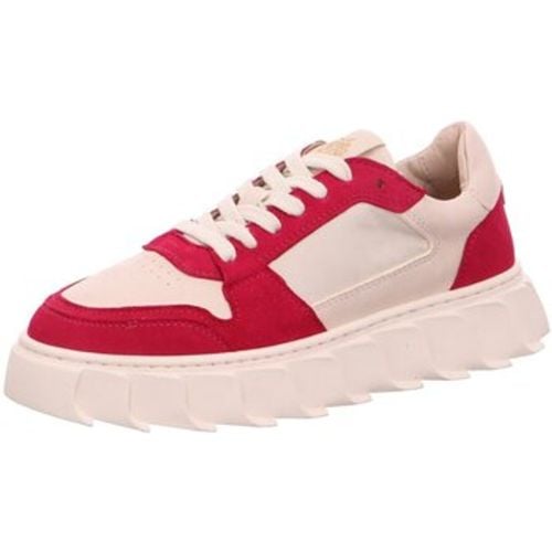 Apple Of Eden Sneaker London - Apple of Eden - Modalova