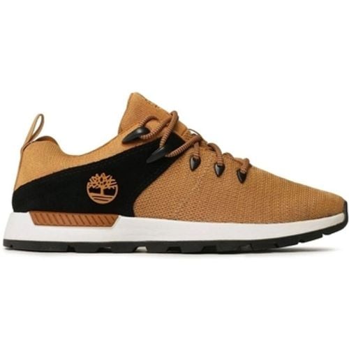 Herrenschuhe SPRINT TREKR LOW KNIT - Timberland - Modalova